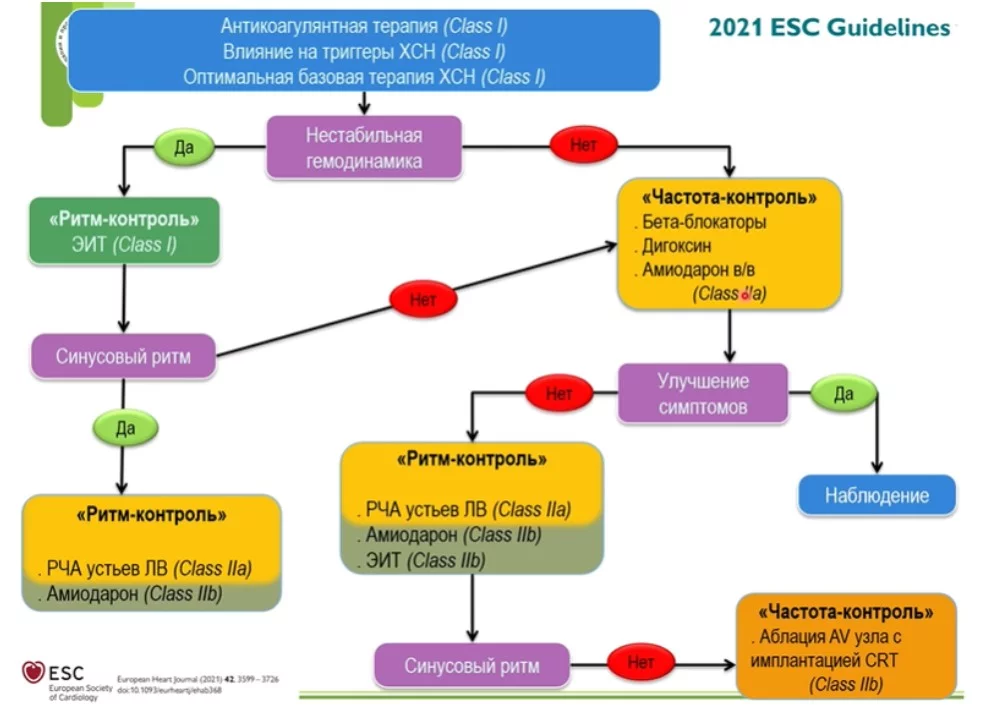 ESC Guiedlines.jpg